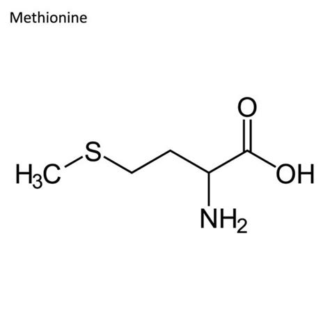 Acid Azotic Formula Chimica