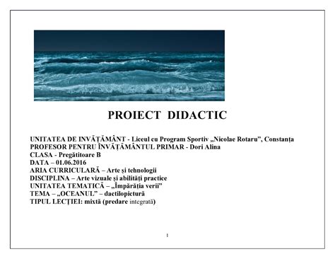 Proiect Didactic Avap Clasa 2 Abilitati Practice