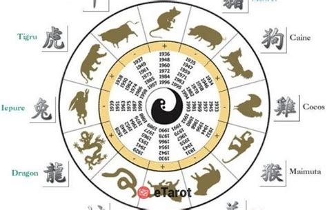 Ce Animal Esti In Zodiacul Chinezesc