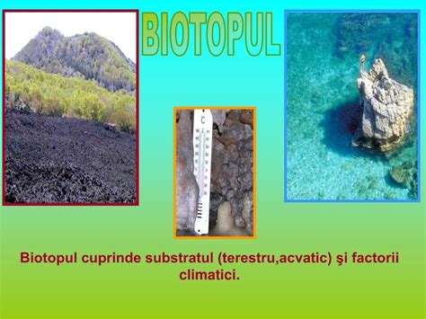 Ce Este Biotopul
