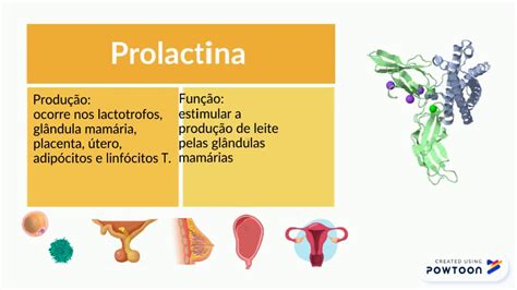 Ce Este Prolactina